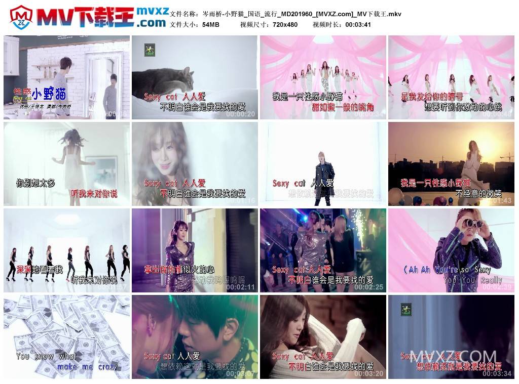 岑雨桥-小野猫_国语_流行_MD201960